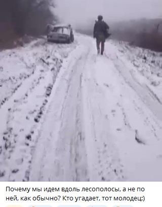 Платон Маматов: ИРД